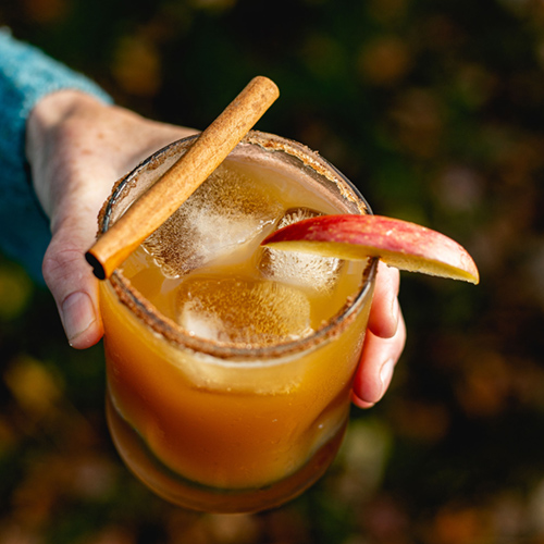 Bourbon apple cider cocktail with cinnamon stick and apple slice garnish